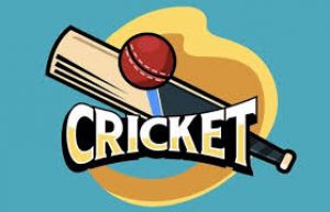 स्वीप इलेवन वर्सेस मीडिया इलेवन के बीच रोचक किक्रेट मुकाबला 29 को