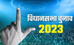डाक मतपत्र के जरिए 3 हजार 498 मतदाताओं ने किया मतदान