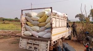  अवैध धान भण्डारण पर की गई कार्यवाही,  60 बोरी अवैध धान जब्त