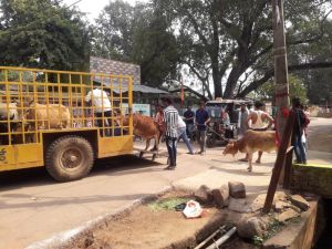 रोका छेका , सम्पत्ति विरूपण के लिए नये सिरे से टीम गठित