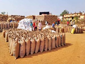 कलेक्टर ने  अधिकारियों के  साथ धान परिवहन केंद्राें का निरीक्षण किया 