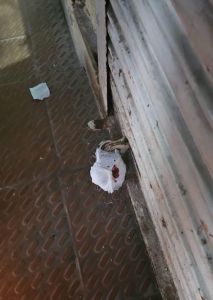 अस्पतालों में स्वास्थ्य विभाग की टीम ने दी दबिश, पैथोलॉजी लैब सील