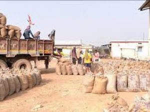 बालोद जिले में अब तक 01 लाख 60 हजार 742 मेट्रिक टन से अधिक धान की खरीद बालोद जिले में अब तक 01 लाख 60 हजार 742 मेट्रिक टन से अधिक धान की खरीद