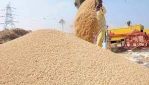 बालोद जिले में अब तक 03 लाख 38 हजार 338 मेट्रिक टन से अधिक धान की हुई खरीदी बालोद जिले में अब तक 03 लाख 38 हजार 338 मेट्रिक टन से अधिक धान की हुई खरीदी