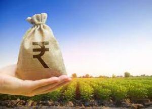  किसानों को रबी सीजन के लिए अब तक 337.80 करोड़ का कृषि ऋण वितरित