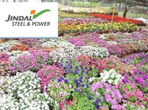 जिंदल स्टील द्वारा 13 जनवरी से रायपुर में राज्य स्तरीय फल -फूल सब्जी प्रदर्शनी एवं प्रतियोगिता का आयोजन