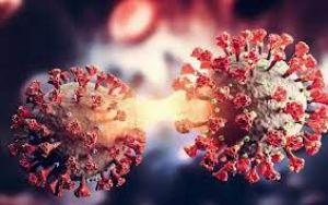   छत्तीसगढ़ में गुरुवार को मिले कोरोना के 17 नए मरीज...  