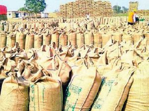 बालोद जिले में अब तक 06 लाख 88 हजार 110 मीट्रिक टन से अधिक धान की हुई खरीदी बालोद जिले में अब तक 06 लाख 88 हजार 110 मीट्रिक टन से अधिक धान की हुई खरीदी