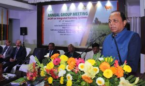  कृषि एवं किसानों के विकास के लिए उपयुक्त है समन्वित कृषि प्रणाली