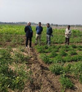 भविष्य में आर्टीफिशियल इंटेलीजेंस द्वारा खरपतवार प्रबंधन होगा