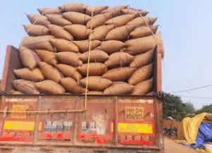  राज्य में 117 लाख 79 हजार मीट्रिक टन धान का उठाव