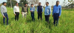 मस्तूरी ब्लाक के गांवों में किसानों ने किया फसल प्रदर्शन