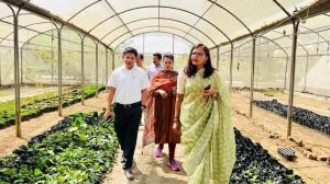 साथी परियोजना के अंतर्गत तालपुरी में बनेगी क्षेत्रीय कृषि उत्पादों की मंडी साथी परियोजना के अंतर्गत तालपुरी में बनेगी क्षेत्रीय कृषि उत्पादों की मंडी