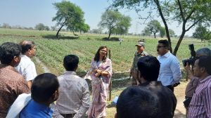 बारिश से हुई फसल नुकसान देखने कलेक्टर पहुंची खेतों में बारिश से हुई फसल नुकसान देखने कलेक्टर पहुंची खेतों में