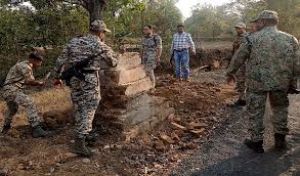 सुरक्षा बलों के साथ मुठभेड़ में तीन नक्सली मारे गए