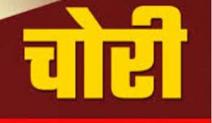 बैंक से दो नग 12 बोर की बंदूक और 20 बुलेट की चोरी बैंक से दो नग 12 बोर की बंदूक और 20 बुलेट की चोरी