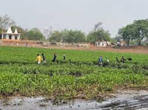 एक अच्छी पहल श्रमदान जन सहयोग से हो रही है ढौर तालाब की सफाई एक अच्छी पहल श्रमदान जन सहयोग से हो रही है ढौर तालाब की सफाई