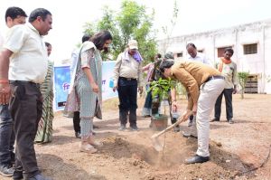 कलेक्टर ने कलेक्टोरेट परिसर में किया पौधरोपण कलेक्टर ने कलेक्टोरेट परिसर में किया पौधरोपण