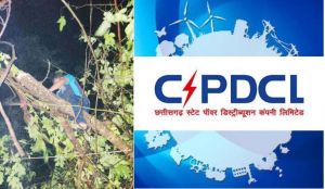  देवभोग के घने जंगल में खतरों से जूझते हुए  की बिजली आपूर्ति बहाल