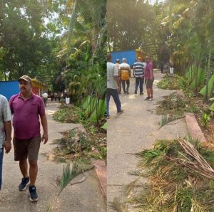 नेहरू नगर भेलवा तालाब सफाई के साथ साथ पेड़ो की कटाई, छटाई ट्रिमिंग शुरू