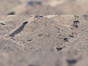 कलेक्टर के निर्देश पर अवैध रेत भंडारण पर हुई कार्रवाई, ज़ब्त की गई लगभग 120 हाईवा रेत