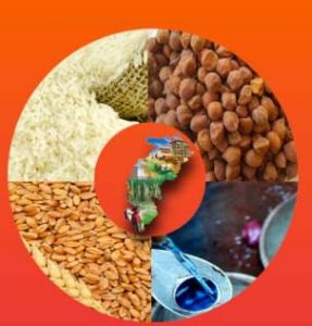 70 लाख राशन कार्डधारियों ने किया नवीनीकरण के लिए ऑनलाइन आवेदन 70 लाख राशन कार्डधारियों ने किया नवीनीकरण के लिए ऑनलाइन आवेदन