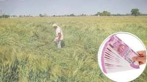 मुआवजा पाने एसडीएम ऑफिस में जमा करें जानकारी