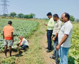 आरबीसी 6-4 के तहत 06 लाख 46 हजार 3 सौ 80 रूपये की आर्थिक सहायता राशि वितरित