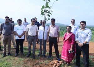 ‘‘एक पेड़ मां के नाम’’: वित्त मंत्री ओ. पी. चौधरी ने मां के साथ लगाया पीपल का पेड़ ‘‘एक पेड़ मां के नाम’’: वित्त मंत्री ओ. पी. चौधरी ने मां के साथ लगाया पीपल का पेड़