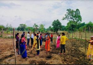 ’’मचान विधि’’ के जरिये बढ़ेगा सब्जियों का उत्पादन ’’मचान विधि’’ के जरिये बढ़ेगा सब्जियों का उत्पादन