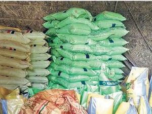 राज्य में खाद-बीज और कीटनाशक औषधियों की गुणवत्ता की जांच जारी राज्य में खाद-बीज और कीटनाशक औषधियों की गुणवत्ता की जांच जारी