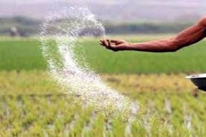  खाद-बीज के लिए किसानों को परेशान करने वाले समिति प्रबंधक हटाए गए