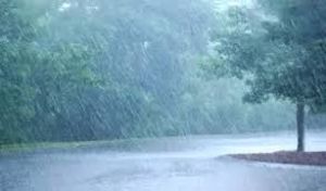  छत्तीसगढ़ में अब तक 268.6 मि.मी. औसत वर्षा दर्ज