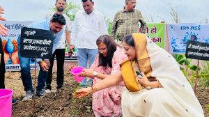 जिले में 12 से 18 जुलाई तक म.बा.वि.वि. द्वारा कुल 107846 से अधिक पौधों का किया गया रोपण जिले में 12 से 18 जुलाई तक म.बा.वि.वि. द्वारा कुल 107846 से अधिक पौधों का किया गया रोपण