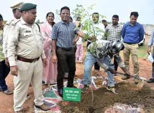 जिला स्तरीय वन महोत्सव कार्यक्रम में किया गया वृहद पौध रोपण जिला स्तरीय वन महोत्सव कार्यक्रम में किया गया वृहद पौध रोपण