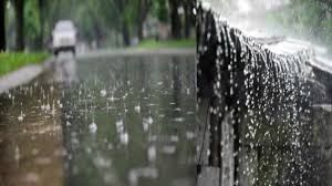  छत्तीसगढ़ में अब तक 355.1 मि.मी. औसत वर्षा दर्ज