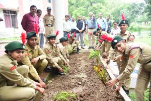 आईटीआई कोनी में वृहद पौधरोपण, सीईओ जिला पंचायत ने लगाया पौधा आईटीआई कोनी में वृहद पौधरोपण, सीईओ जिला पंचायत ने लगाया पौधा