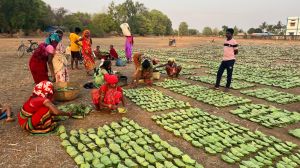 बस्तर के हरा सोना संग्राहकों को बैंक मित्र एवं बैंक सखियों से सीधे मिल रही पारिश्रमिक राशि बस्तर के हरा सोना संग्राहकों को बैंक मित्र एवं बैंक सखियों से सीधे मिल रही पारिश्रमिक राशि