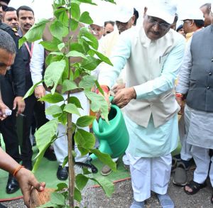 मुख्यमंत्री विष्णु देव साय ने लगाया बेल का पौधा मुख्यमंत्री विष्णु देव साय ने लगाया बेल का पौधा