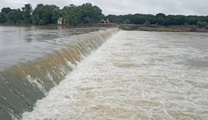 तांदुला में 46, खरखरा में 58, खपरी में 74 और गोंदली जलाशय में 27 प्रतिशत जल भराव तांदुला में 46, खरखरा में 58, खपरी में 74 और गोंदली जलाशय में 27 प्रतिशत जल भराव