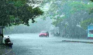 छत्तीसगढ़ में अब तक 479.7 मि.मी. औसत वर्षा दर्ज छत्तीसगढ़ में अब तक 479.7 मि.मी. औसत वर्षा दर्ज