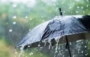 जिले में अब तक 320.0 मिमी औसत वर्षा दर्ज