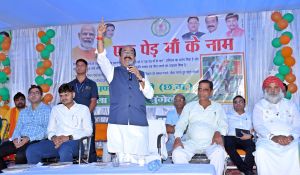 एक पेड़ मां के नाम : उप मुख्यमंत्री साव ने अपनी मां के सम्मान में लगाया पौधा एक पेड़ मां के नाम : उप मुख्यमंत्री साव ने अपनी मां के सम्मान में लगाया पौधा