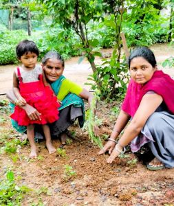 बालोद जिले के आंगनबाड़ी केन्द्रों में महतारी वंदन योजना से लाभांवित महिला हितग्राहियों ने किया वृक्षारोपण बालोद जिले के आंगनबाड़ी केन्द्रों में महतारी वंदन योजना से लाभांवित महिला हितग्राहियों ने किया वृक्षारोपण