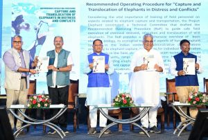 हाथियों के संरक्षण में भारत की अग्रणी भूमिका : केन्द्रीय मंत्री हाथियों के संरक्षण में भारत की अग्रणी भूमिका : केन्द्रीय मंत्री