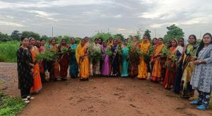 कृषि विज्ञान केन्द्र पाहंदा में गाजरघास जागरूकता कार्यक्रम का आयोजन कृषि विज्ञान केन्द्र पाहंदा में गाजरघास जागरूकता कार्यक्रम का आयोजन
