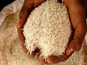 राशन दुकानों में चावल नहीं पहुंचने से नहीं हो रहा था आबंटन, एक फोन पर हुआ समस्या का समाधान राशन दुकानों में चावल नहीं पहुंचने से नहीं हो रहा था आबंटन, एक फोन पर हुआ समस्या का समाधान