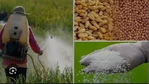  किसानों को सुगमता से मिल रहा खाद-बीज 