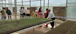 कलेक्टर सुश्री चौधरी ने की बीज प्रगुणन प्रक्षेत्र और एस.जे. फार्म का निरीक्षण कलेक्टर सुश्री चौधरी ने की बीज प्रगुणन प्रक्षेत्र और एस.जे. फार्म का निरीक्षण