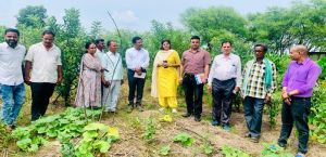 जैविक खेती का एक दिवसीय प्रशिक्षण संपन्न जैविक खेती का एक दिवसीय प्रशिक्षण संपन्न